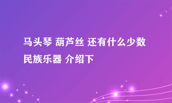 马头琴 葫芦丝 还有什么少数民族乐器 介绍下