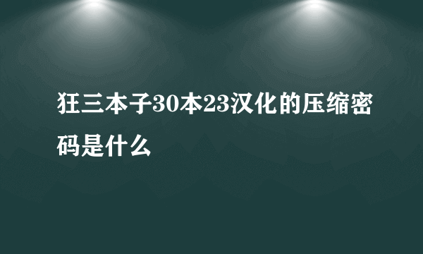 狂三本子30本23汉化的压缩密码是什么