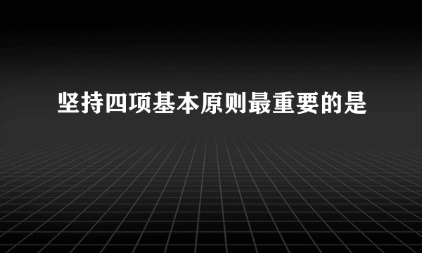 坚持四项基本原则最重要的是