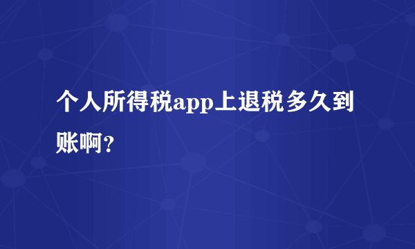 个人所得税app上退税多久到账啊？