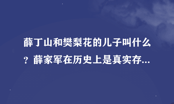 薛丁山和樊梨花的儿子叫什么？薛家军在历史上是真实存在的吗？