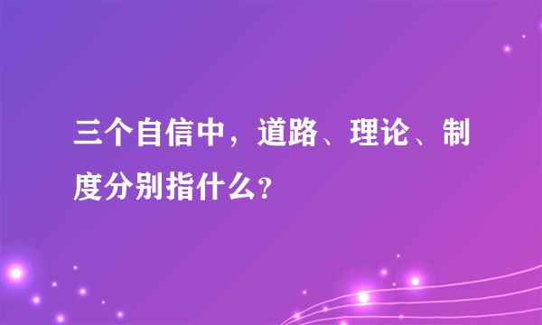 三个自信中，道路、理论、制度分别指什么？