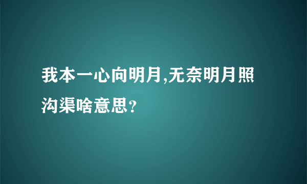 我本一心向明月,无奈明月照沟渠啥意思？