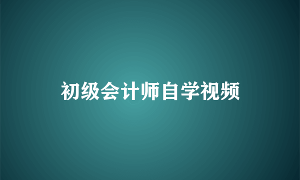 初级会计师自学视频