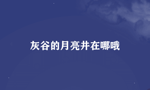 灰谷的月亮井在哪哦