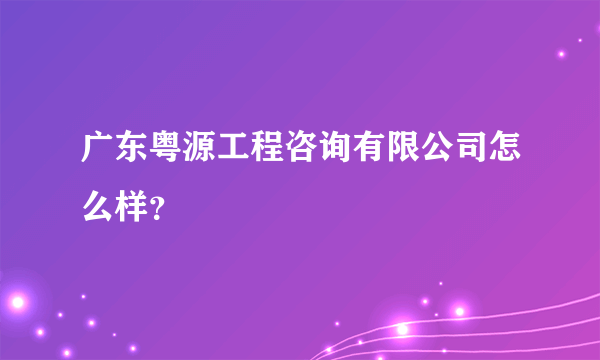 广东粤源工程咨询有限公司怎么样？