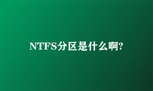 NTFS分区是什么啊?