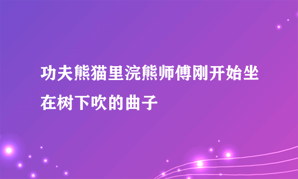 功夫熊猫里浣熊师傅刚开始坐在树下吹的曲子