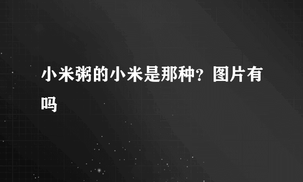 小米粥的小米是那种？图片有吗