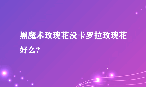 黑魔术玫瑰花没卡罗拉玫瑰花好么?