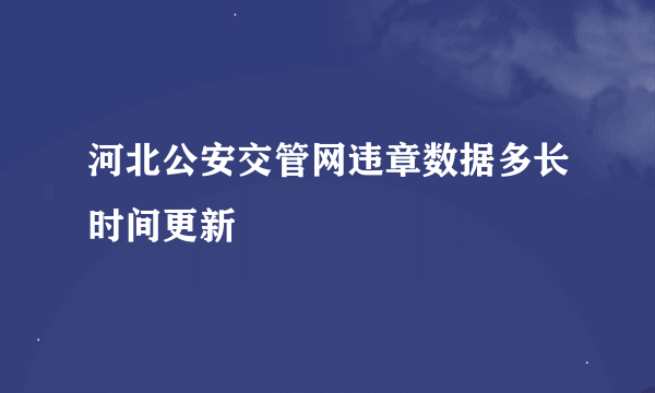 河北公安交管网违章数据多长时间更新