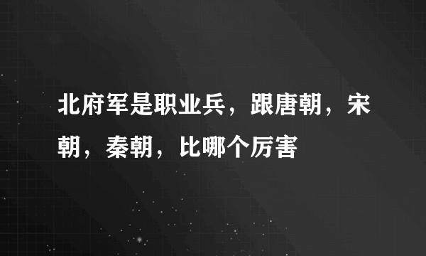 北府军是职业兵，跟唐朝，宋朝，秦朝，比哪个厉害