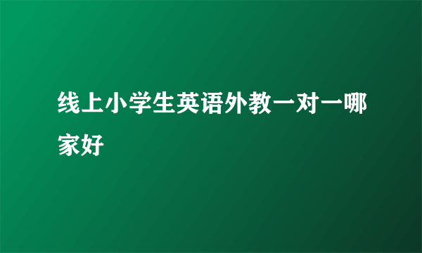 线上小学生英语外教一对一哪家好