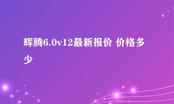 辉腾6.0v12最新报价 价格多少