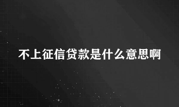 不上征信贷款是什么意思啊