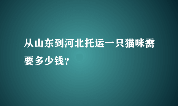 从山东到河北托运一只猫咪需要多少钱？